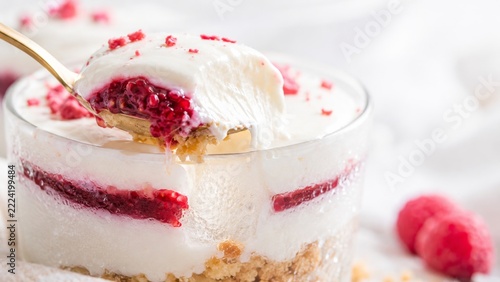 Delicious Japanese cheesecake with raspberry topping, ideal for dessert backgrounds