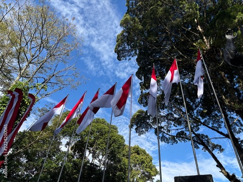 The Indonesian flag waves beneath a shady tree in the park