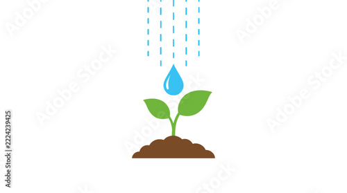 Young green plant seedling growing in brown soil being watered by blue drops, symbolizing growth, nature, life, and development.