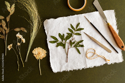 Herbier de fleurs et de feuilles séchées et pressées sur papier artisanal, fond vert foncé, vue de dessus