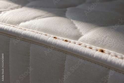 Rust-coloured bed bug stains along white mattress seam under raking light - sign of bed bug infestation and pest control