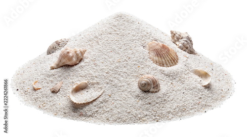 White sand pile with sea shells isolated on white background
