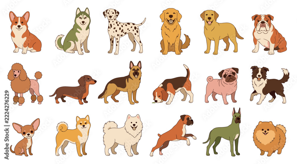 Fototapeta premium Different cute cartoon purebred dog breeds collection features happy corgi husky bulldog dalmatian retriever dachshund poodle beagle pug and chihuahua pet animal illustrations