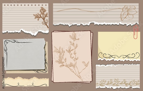 Vintage Botanical Scrapbook Paper Collection with Torn Edges, Blank Labels, Floral Line Art and Antique Beige Decorative Frames