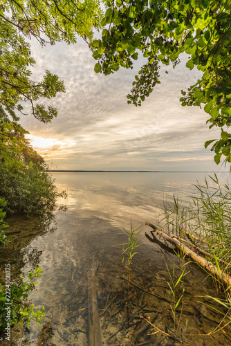 Die Natur an der Müritz in Mecklenburg-Vorpommern im Sommer