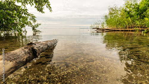 Die Natur an der Müritz in Mecklenburg-Vorpommern im Sommer