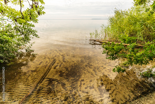 Die Natur an der Müritz in Mecklenburg-Vorpommern im Sommer