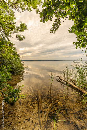 Die Natur an der Müritz in Mecklenburg-Vorpommern im Sommer