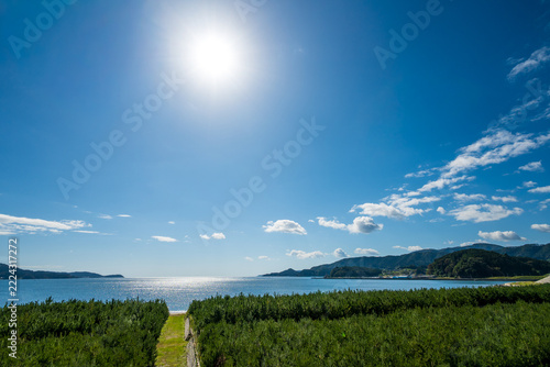 高田松原　海を望む場から眺める広田湾の海景色