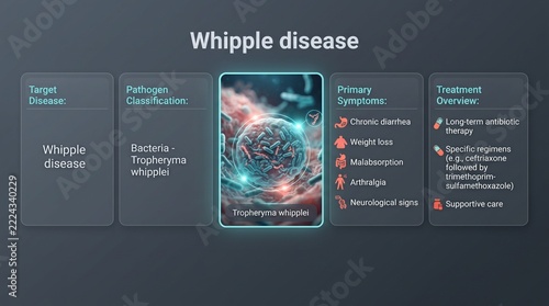 Whipple disease overview graphic with medical illustration and explanatory text
