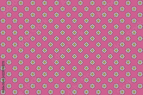White flowers with yellow stamens on a Hot Pink color background.