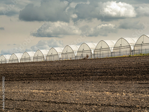 Row Of Greenhouses On Agricultural Field Under Dramatic Cloudy Sky For Commercial Horticulture