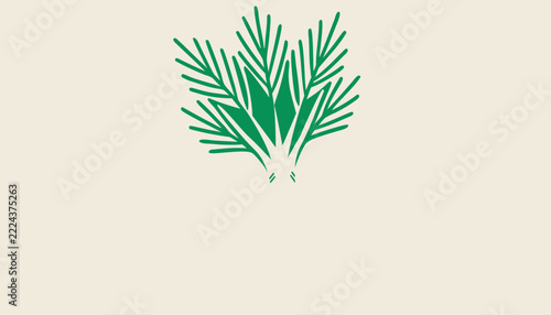 vector illustration of a green grass