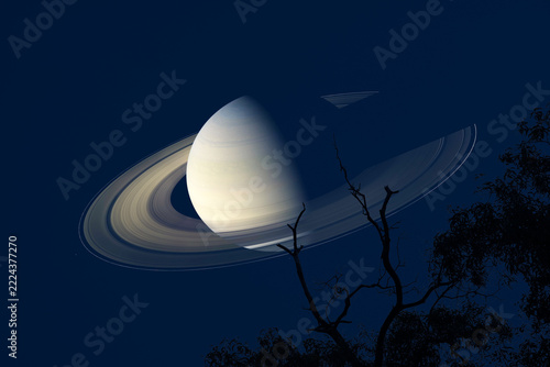 Saturn back top dry branch tree dark blue night sky