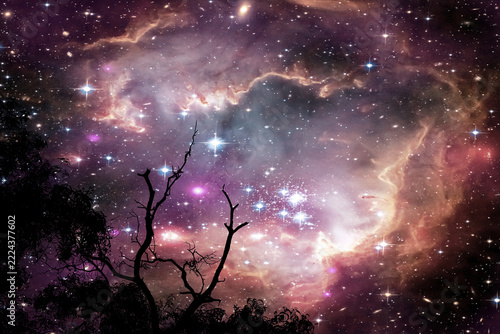 Star cluster NGC 602  back top dry branch tree dark blue night sky
