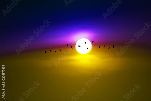 sunset on the evening purple pastel cloud on the sky and birds flying to home