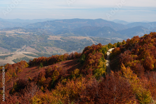 Winding dirt road through colorful autumn forest in Carpathian mountains.