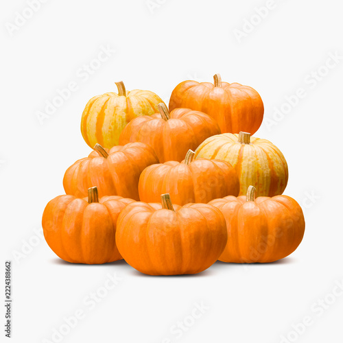 pumpkin on white background