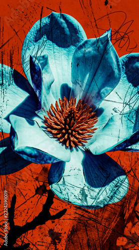 Abstract Blue Magnolia on Grunge Background