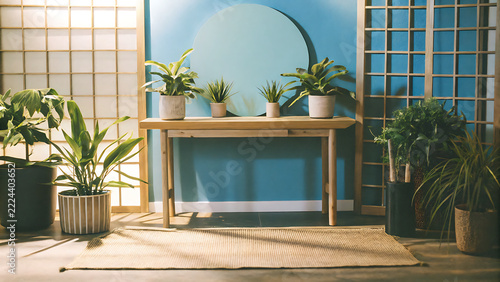 Minimalist interior design composition with wooden table and potted