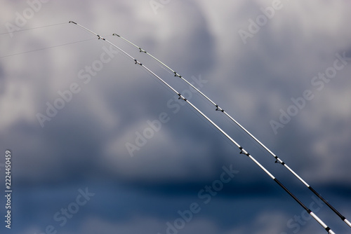 Pêche à la ligne