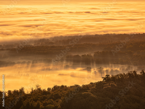 Ausblick über endlose Wälder und Nebelmeer bei Sonnenaufgang im Herbst, Habichtswald, Nordhessen, Hessen, Deutschland