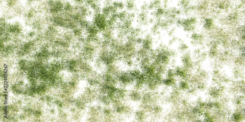 Dense green wild grass patches from top view isolated on transparent background – 3D rendering.