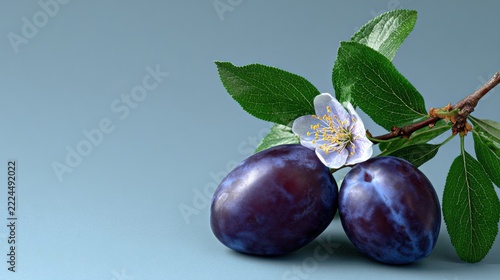 Fresh Purple Plums with Green Leaves and Bloom on Light Background