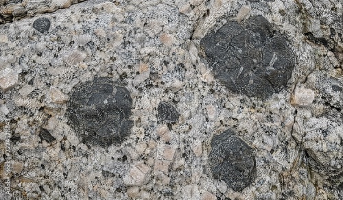 Dark xenoliths in pale granite outcrop