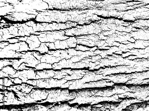 Long horizontal bark ridges and cracks forming rough wood texture