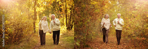 Happy Senior Couple Walking in Autumn Park