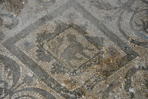 Dog Floor Mosaic at Kom El Dikka Site, Alexandria
