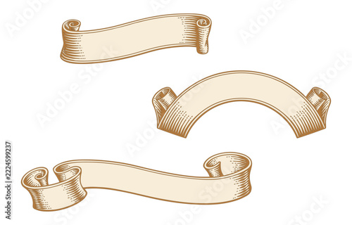 Hand Drawn Vintage Ribbon Banner Collection, Antique Scroll Banners, Decorative Blank Label Vector Set	
