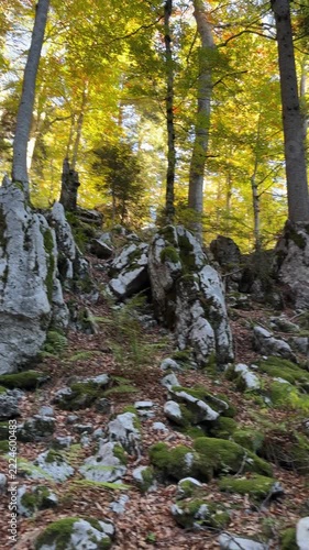 Bijele stijene, nature park in Croatia, landscape