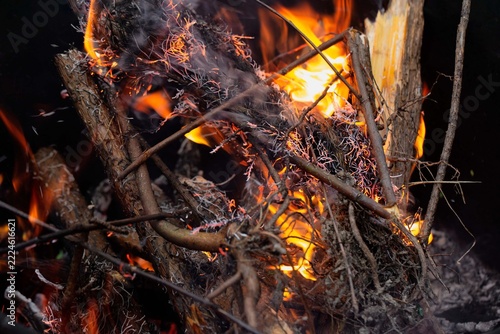 A blazing fire in the forest, a forest fire. Global warming, climate change.