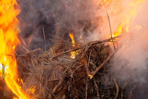 A blazing fire in the forest, a forest fire. Global warming, climate change.