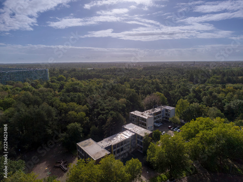 Netherlands - 10 september 2026, Zeist: Elevated View Over Green Forest Tree Canopy in Zeist