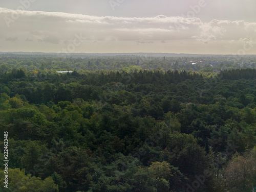 Netherlands - 10 september 2026, Zeist: Horizon View Over Forest Landscape from High Rise Building