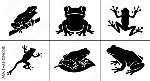 Frog silhouettes set with creatures on branches and leaves for nature logos
