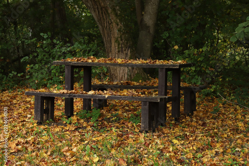 Wooden picnic table and benches covered with autumn leaves in an empty park. Tranquil picnic spot in the woods covered in a golden carpet of dry leaves during autumn season.