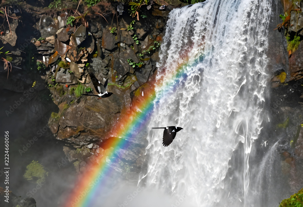 Naklejka premium Nature conservation and wildlife freedom, birds flying near a powerful waterfall with a bright rainbow in a lush forest environment