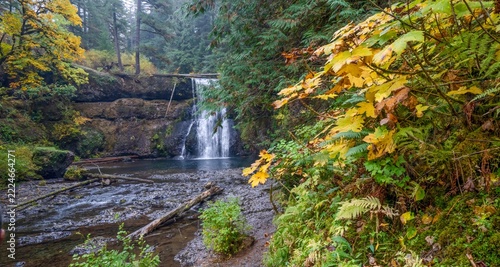 Upper North Falls in Silver Falls State Park,  autumn, fall colors along the trail