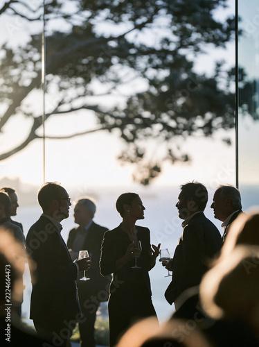 Networking reception with silhouetted guests talking beside garden facing windows