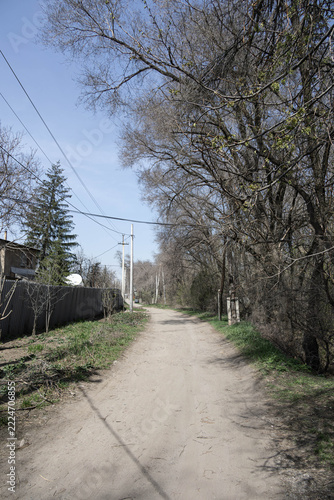Narrow dirt road in a quiet village with large trees and fences in Almaty region, Kazakhstan