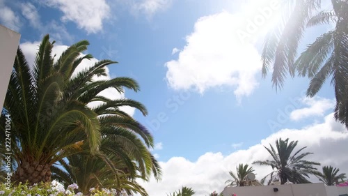 A photograph showing a clear blue sky with scattered clouds and in the foreground there are palm trees with green fronds