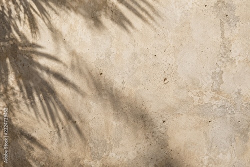 Weathered Beige Concrete Texture with Soft Blurred Palm Shadows