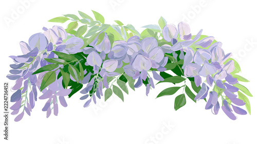 Isolated vibrant wisteria blossoms, green leaves, and a black panel with N (1898) text.