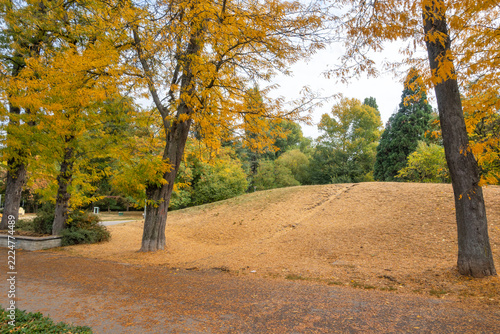 Autumn Landscape of South Park in city of Sofia, Bulgaria