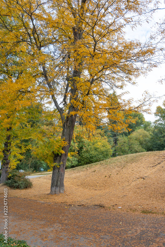 Autumn Landscape of South Park in city of Sofia, Bulgaria