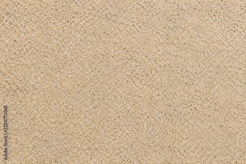 Compact beige sand texture with even granularity